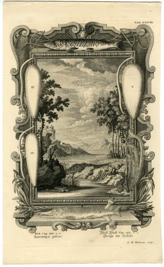 Antique Print-OLD TESTAMENT-SPEAK TO THE EARTH-FISHING-Heumann-Scheuchzer-1731