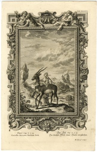 Antique Print-OLD TESTAMENT-BOOK PROVERBS-GAZELLE-LOVE-BREASTS-Scheuchzer-1731