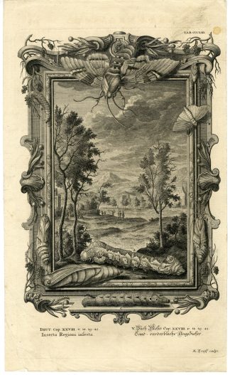 Antique Print-OLD TESTAMENT-LORD-PUNISHMENT-INSECTS-CROPS-PLAGUE-Scheuchzer-1731