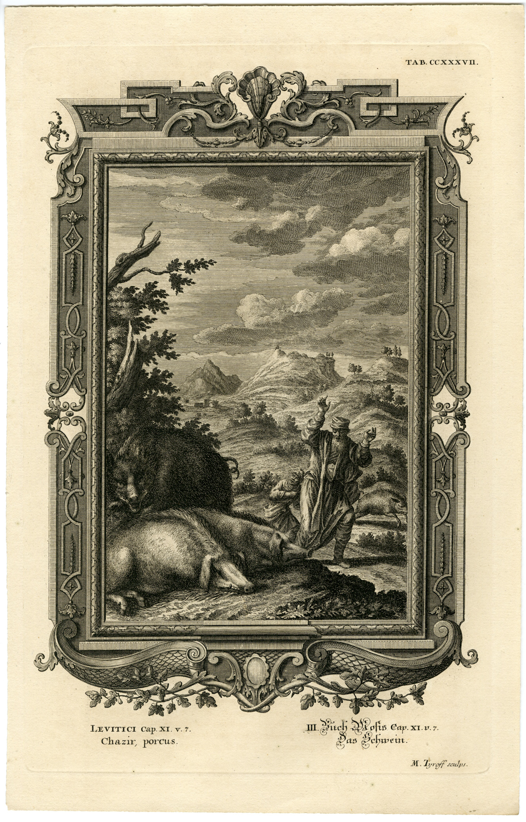 , Antique Print-OLD TESTAMENT-BOOK OF LEVITICUS-PIG-UNCLEAN-Tyroff-Scheuchzer-1731, Pictura Antique Prints