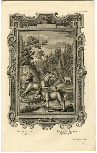 Antique Print-OLD TESTAMENT-BOOK OF JOB-DONKEY-OX-Harder-Scheuchzer-1731