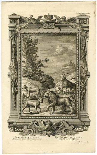 Antique Print-OLD TESTAMENT-LION-MALE GOAT-DOG-KING-Fridrich-Scheuchzer-1731