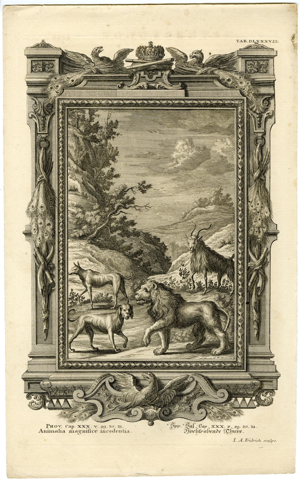 , Antique Print-OLD TESTAMENT-LION-MALE GOAT-DOG-KING-Fridrich-Scheuchzer-1731, Pictura Antique Prints