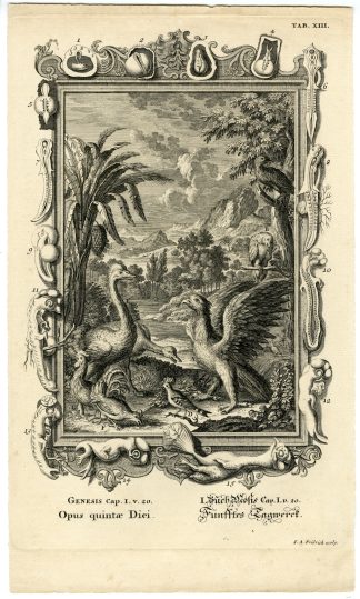 Antique Print-OLD TESTAMENT-GENESIS-CREATION-BIRDS-5TH DAY-BIBLE-Scheuchzer-1731