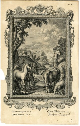 Antique Print-OLD TESTAMENT-GENESIS-CREATION-ANIMALS-6TH DAY-Scheuchzer-1731