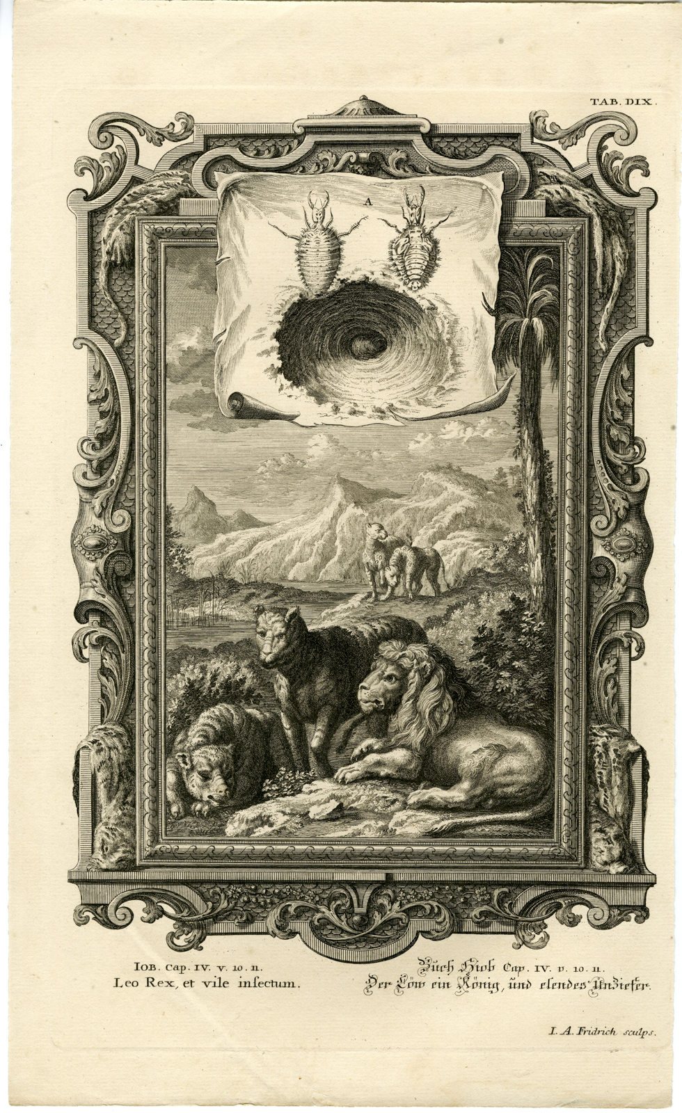 , Antique Print-OLD TESTAMENT-JOB-LION-BROKEN TEETH-HUNGER-TICK-Scheuchzer-1731, Pictura Antique Prints