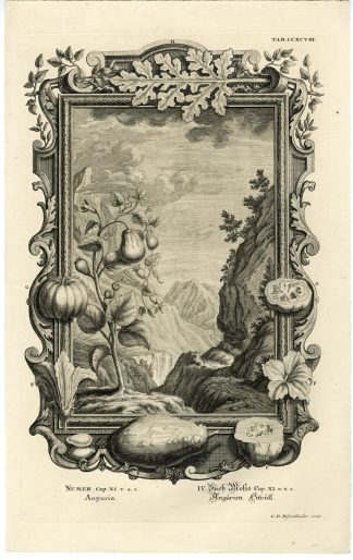 Antique Print-OLD TESTAMENT-FOOD-MELONS-CUCUMBERS-Nessenthaler-Scheuchzer-1731
