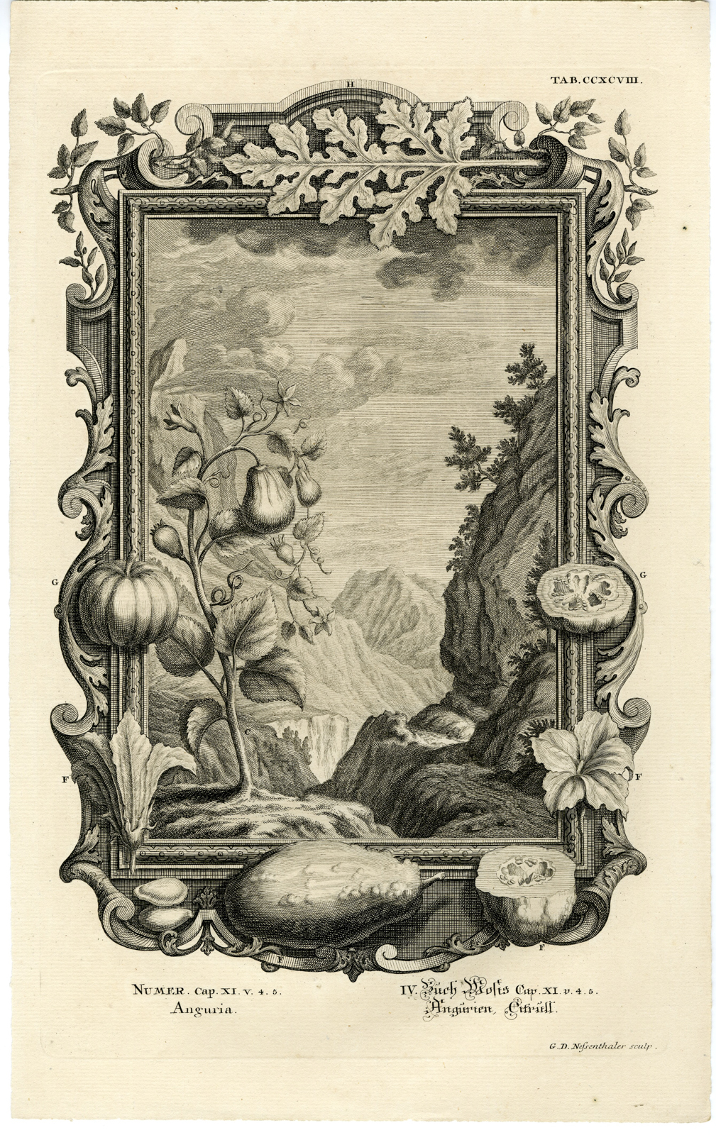 , Antique Print-OLD TESTAMENT-FOOD-MELONS-CUCUMBERS-Nessenthaler-Scheuchzer-1731, Pictura Antique Prints