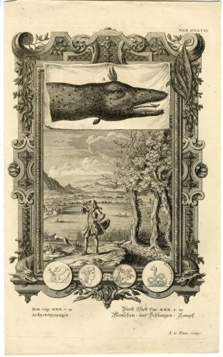 Antique Print-OLD TESTAMENT-BOOK OF JOB-SNAKE-ISOLATION-Pinz-Scheuchzer-1731
