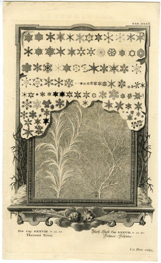 Antique Print-OLD TESTAMENT-BOOK OF JOB-HAIL-SNOW-BIBLE-Pinz-Scheuchzer-1731