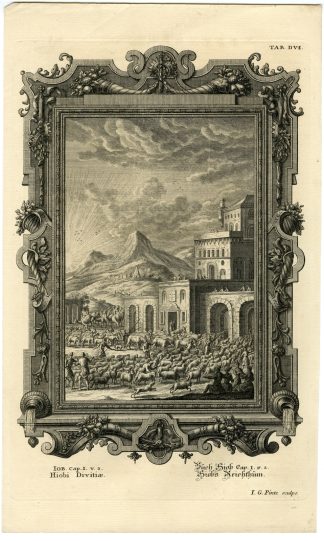 Antique Print-OLD TESTAMENT-BOOK OF JOB-WEALTHY-ANIMALS-Pinz-Scheuchzer-1731