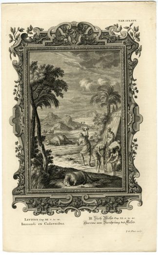 Antique Print-OLD TESTAMENT-DEAD ANIMALS-TOUCHING CARCASS-Pinz-Scheuchzer-1731
