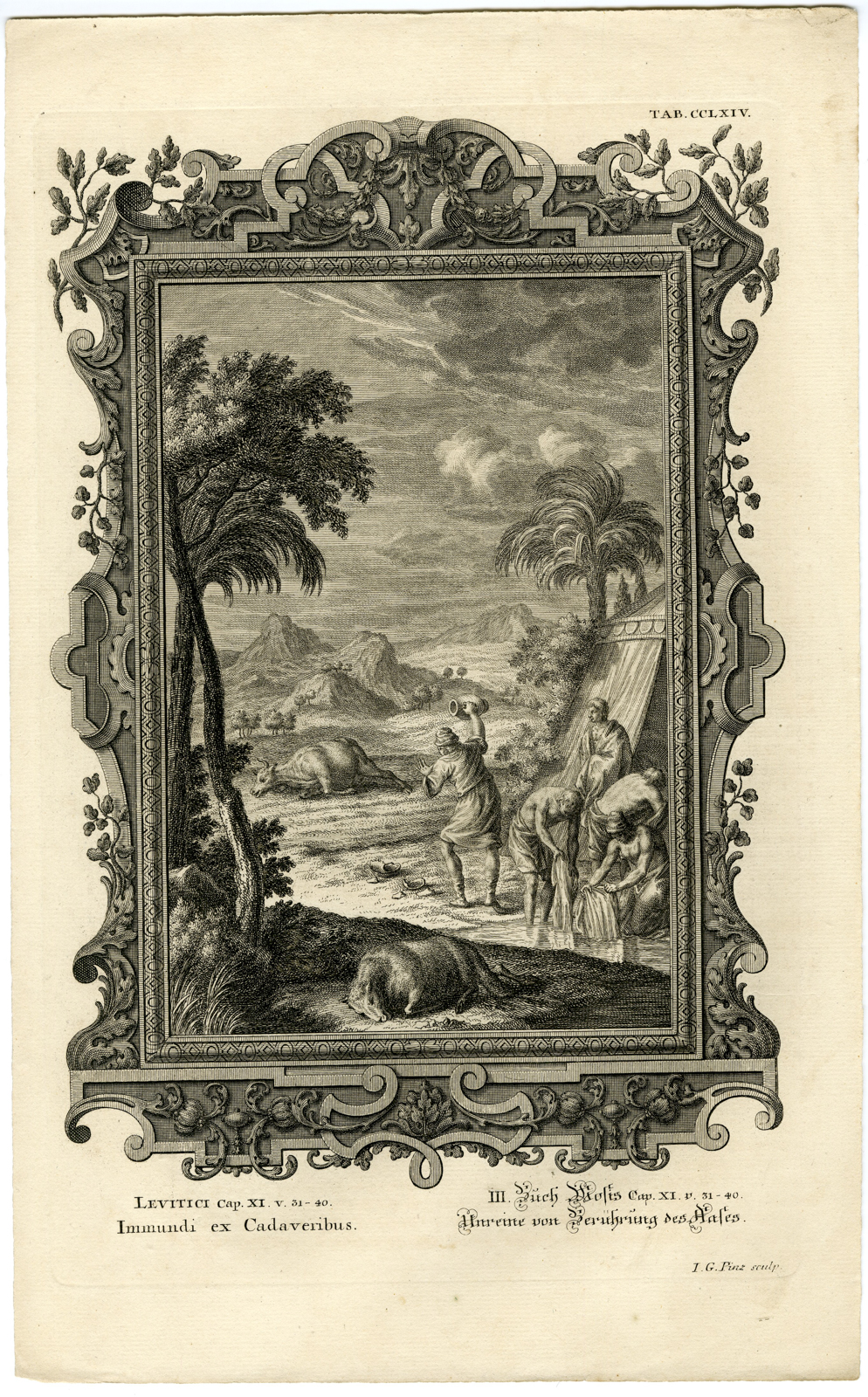 , Antique Print-OLD TESTAMENT-DEAD ANIMALS-TOUCHING CARCASS-Pinz-Scheuchzer-1731, Pictura Antique Prints
