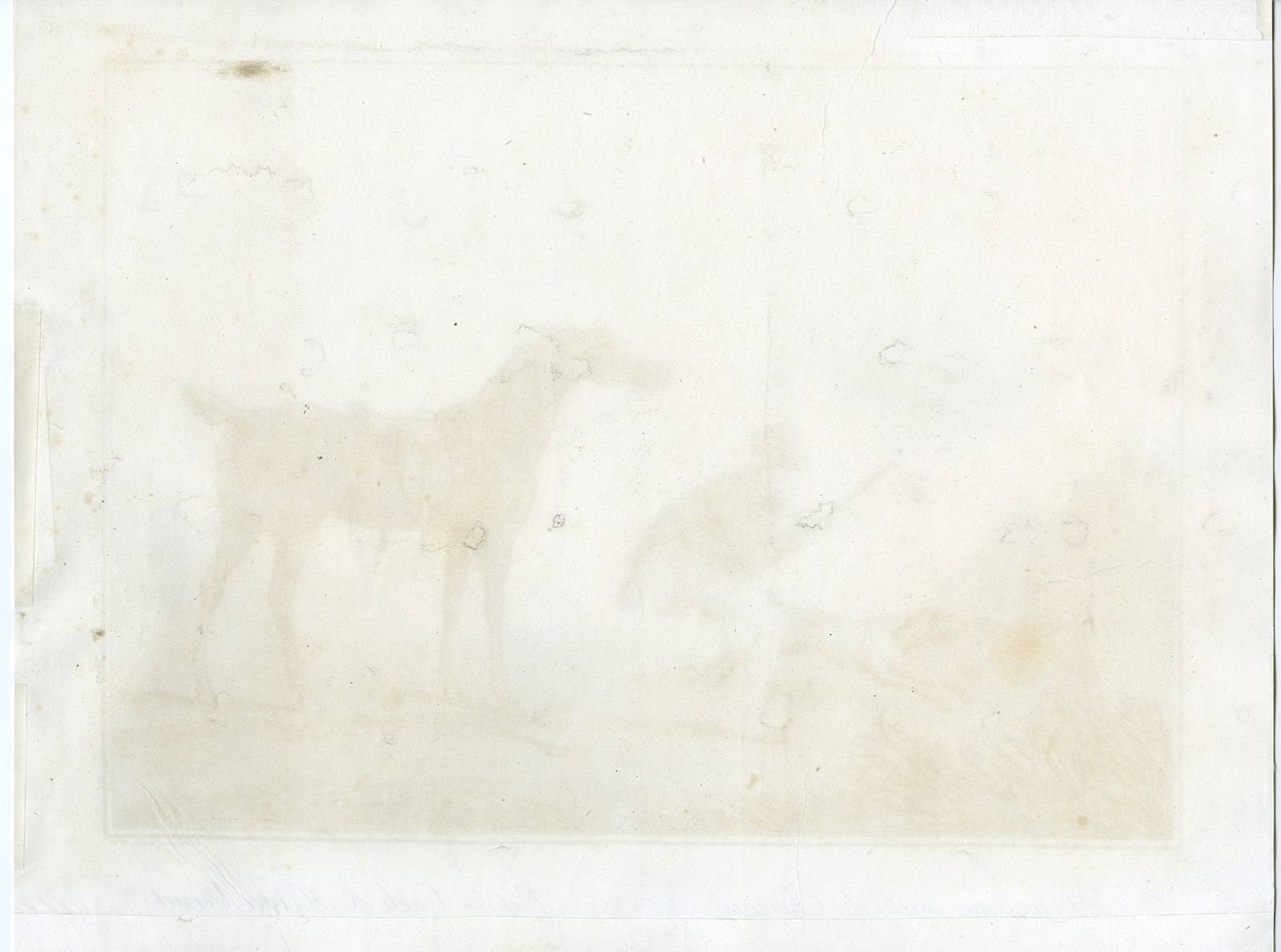 , Antique Master Print-DEUXIEME-SUITE-DE-CHEVAUX-N18-Levachez-Vernet-c.1800, Pictura Antique Prints