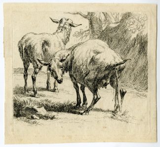 Antique Master Print-PISSING-EWE-SHEEP-Berchem-1646-1652