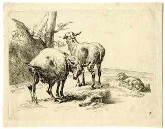 Antique Master Print-PISSING-EWE-SHEEP-Berchem-1646-1652
