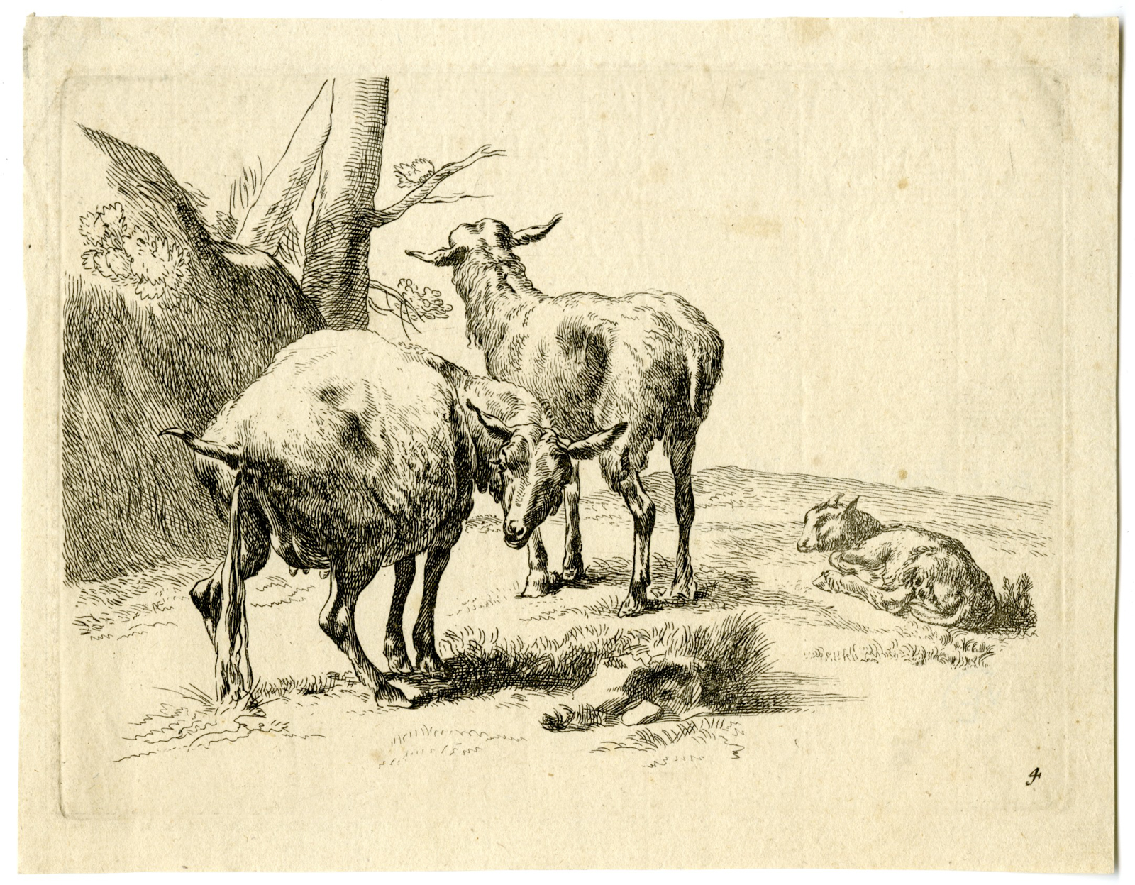 , Antique Master Print-PISSING-EWE-SHEEP-Berchem-1646-1652, Pictura Antique Prints