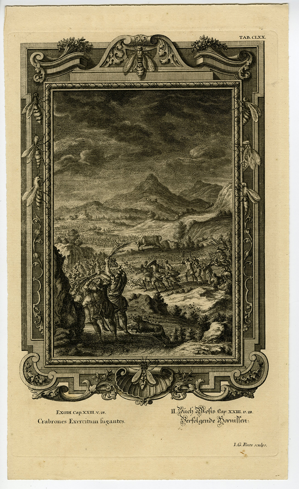 , Antique Print-OLD TESTAMENT-EXODUS-ISRAELITES-HORNET-Pinz-Scheuchzer-1731, Pictura Antique Prints