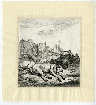 Antique Master Print-TWO-DOGS-SLEEPING-Dujardin-c.1641-1678