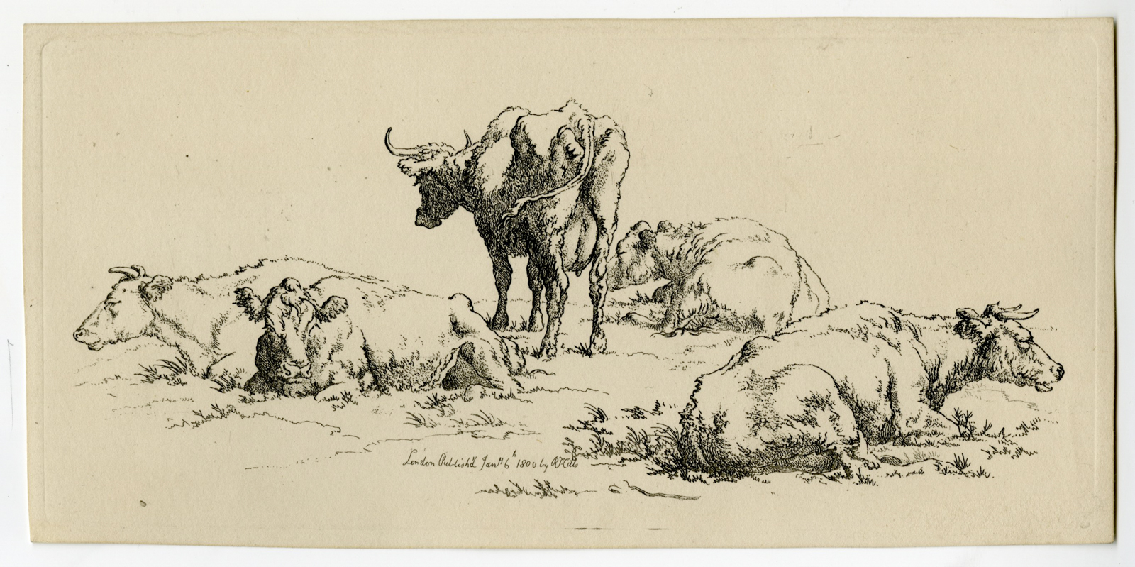 , Antique Master Print-COWS-PASTORAL-Hills-1806, Pictura Antique Prints