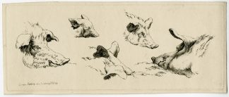 2-Antique Master Prints-PIG-STUDIES-SET-Hills-1814