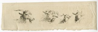 Antique Master Print-GOAT-STUDIES-Hills-c.1800-1815