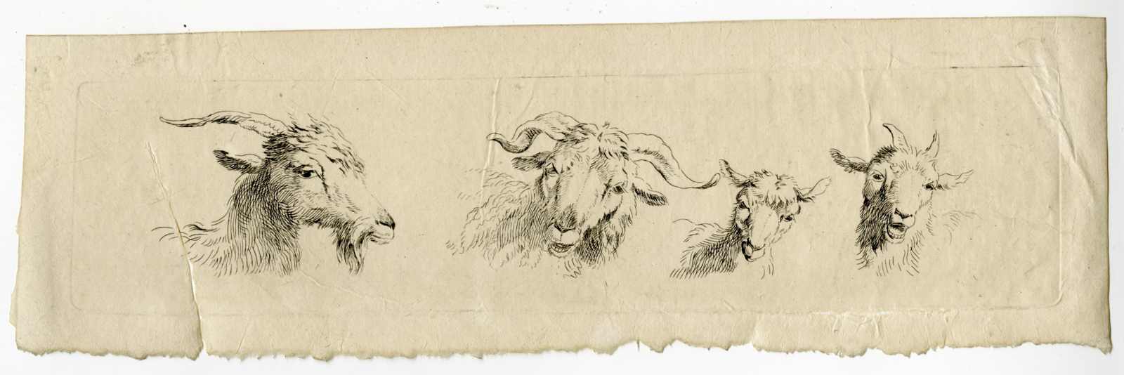 , Antique Master Print-GOAT-STUDIES-Hills-c.1800-1815, Pictura Antique Prints