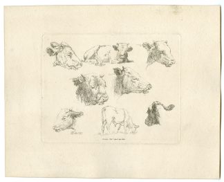 Antique Master Print-CATTLE-STUDIES-Hills-1799