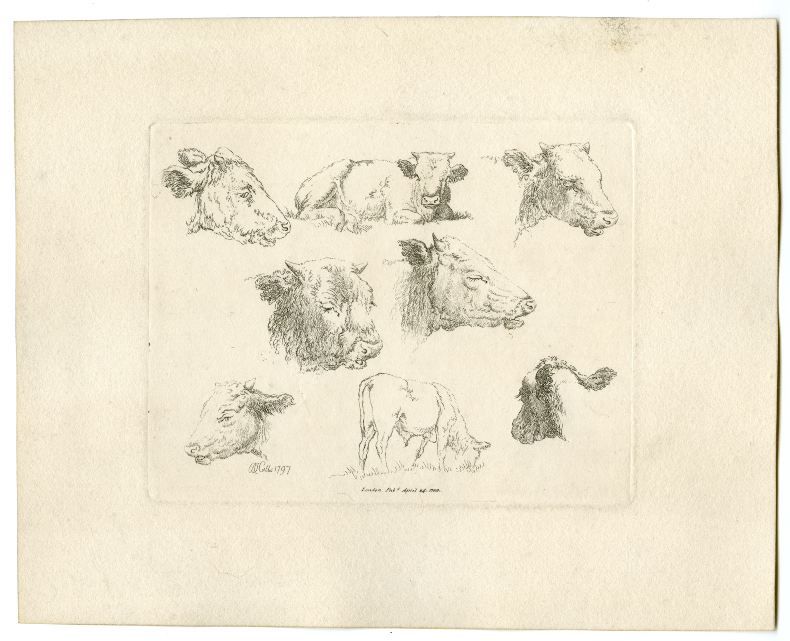 , Antique Master Print-CATTLE-STUDIES-Hills-1799, Pictura Antique Prints