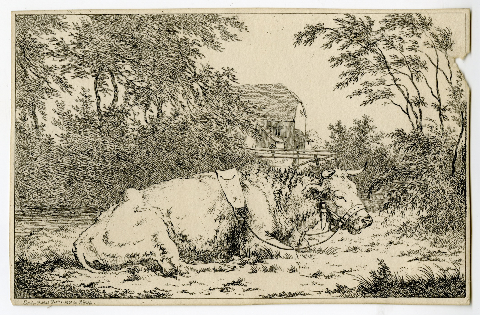 , Antique Master Print-OLD COW-BARN-LANDSCAPE-Hills-1801, Pictura Antique Prints