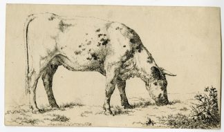 Antique Master Print-GRAZING-COW-Hills-1798