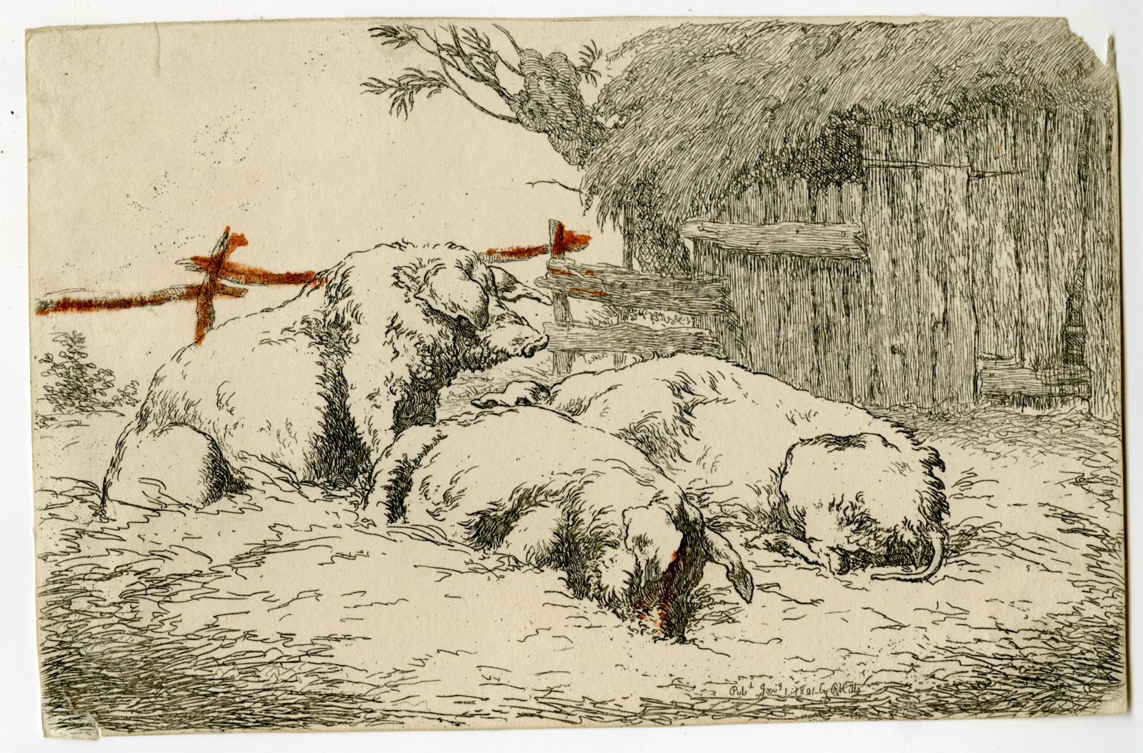 , Antique Master Print-HOGGS-PIGS-BARN-Hills-1801, Pictura Antique Prints