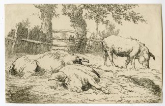 Antique Master Print-HOGGS-PIGS-FENCE-Hills-1801