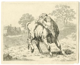 Antique Master Print-TURNING-COW-Hills-1802