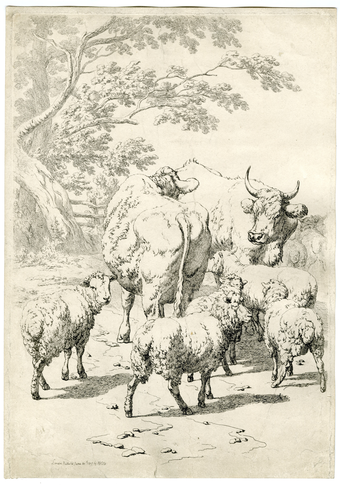 , Antique Master Print-CATTLE-SHEEP-TREE-Hills-1807, Pictura Antique Prints