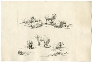 Antique Master Print-STUDY-SHEET-SHEEP-Hills-1799