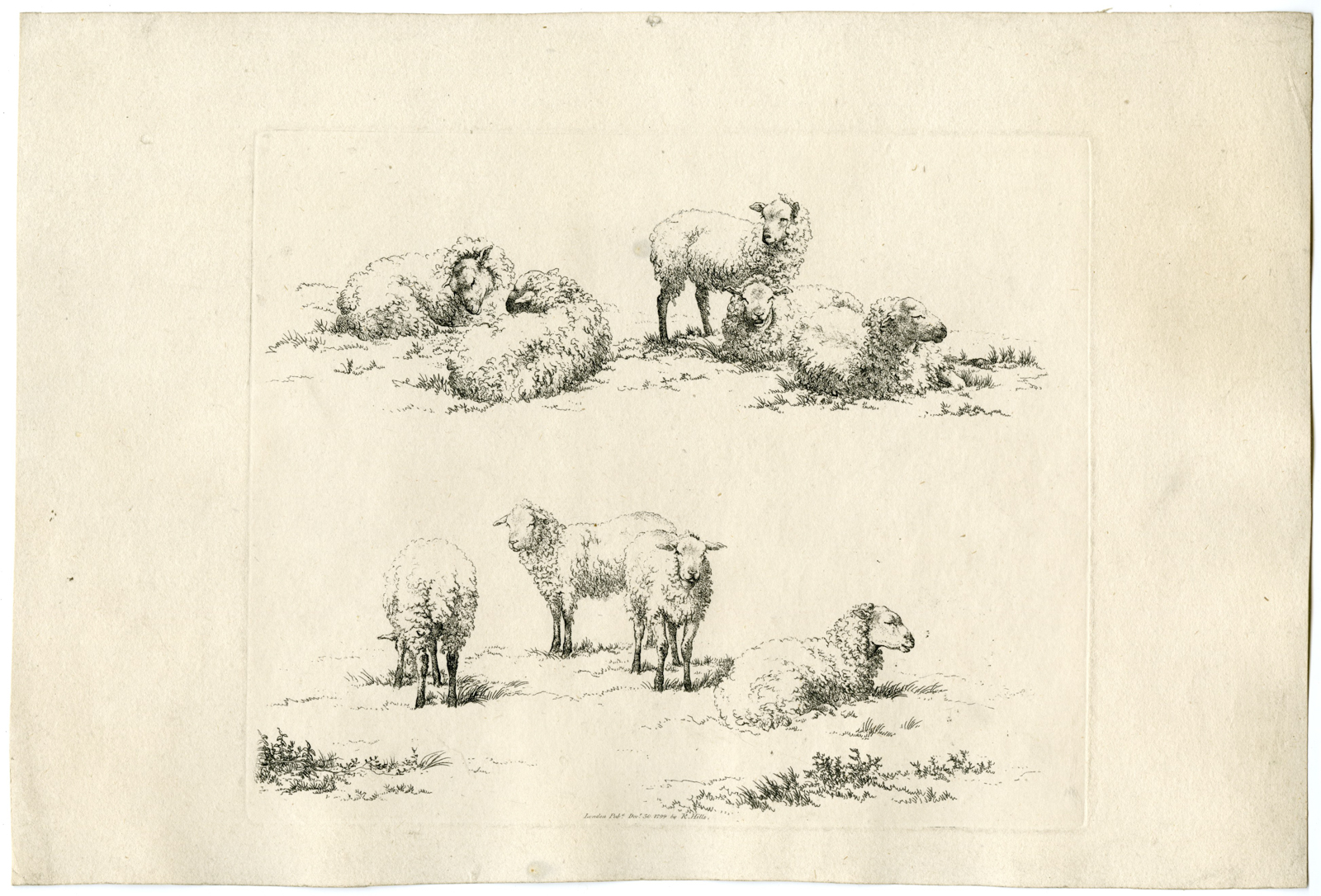 , Antique Master Print-STUDY-SHEET-SHEEP-Hills-1799, Pictura Antique Prints