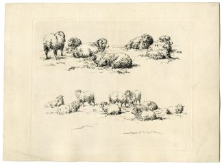 Antique Master Print-SHEEP-STUDIES-DOUBLE-REGISTER-Hills-1798