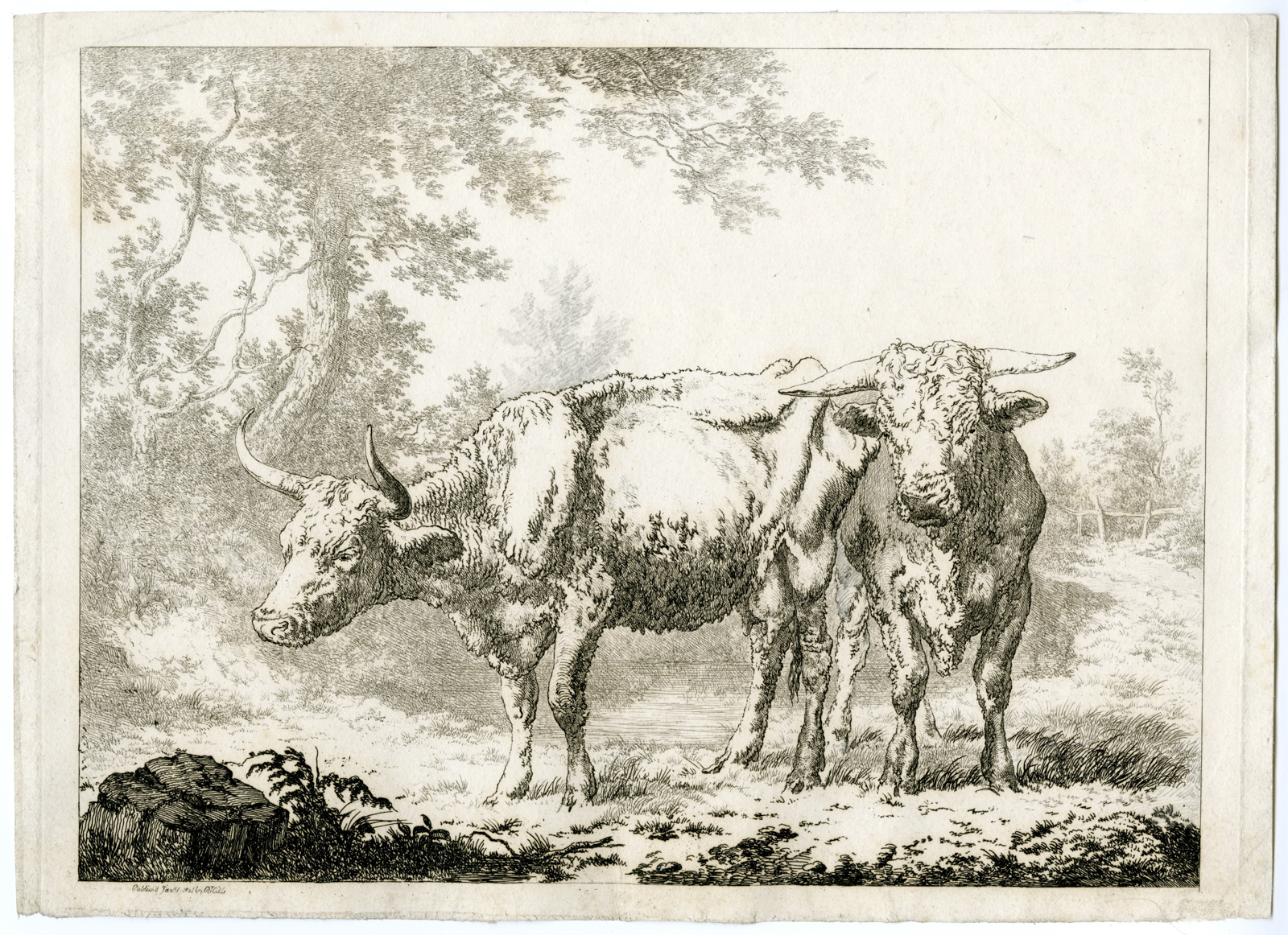 , Antique Master Print-COW AND BULL-UNDER-TREES-Hills-1801, Pictura Antique Prints