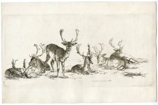 Antique Master Print-DEER-STUDY-Hills-1800