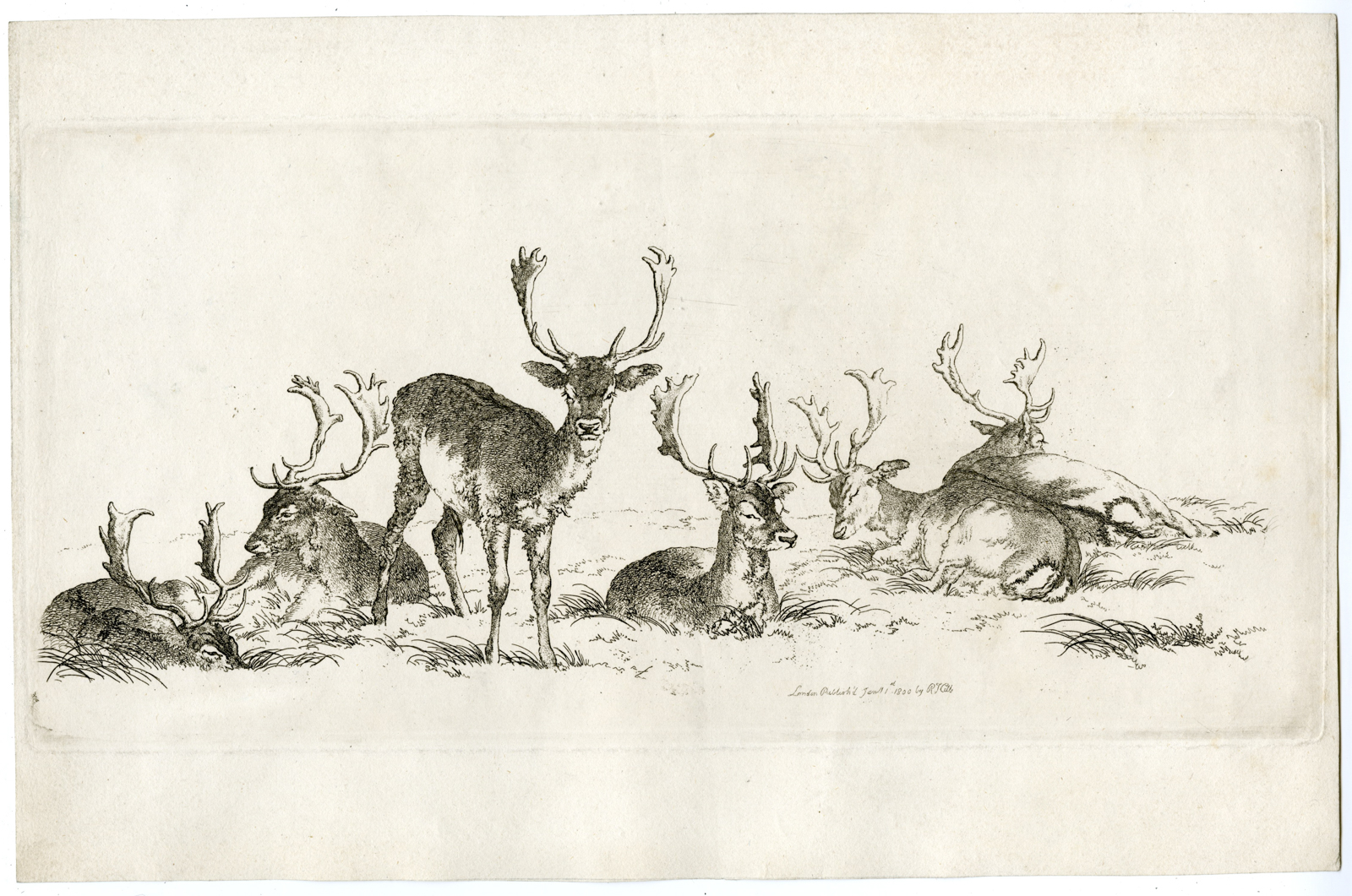 , Antique Master Print-DEER-STUDY-Hills-1800, Pictura Antique Prints
