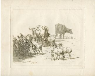 Antique Master Print-CATTLE-SHEEP-HERDING-SCENE-DOG-Hills-1804
