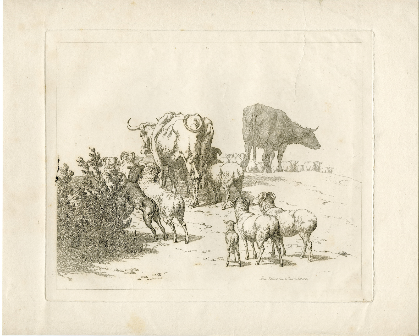, Antique Master Print-CATTLE-SHEEP-HERDING-SCENE-DOG-Hills-1804, Pictura Antique Prints