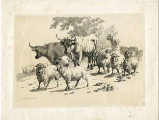 Antique Master Print-SHEEP-CATTLE-HERDER-PATH-Hills-1807