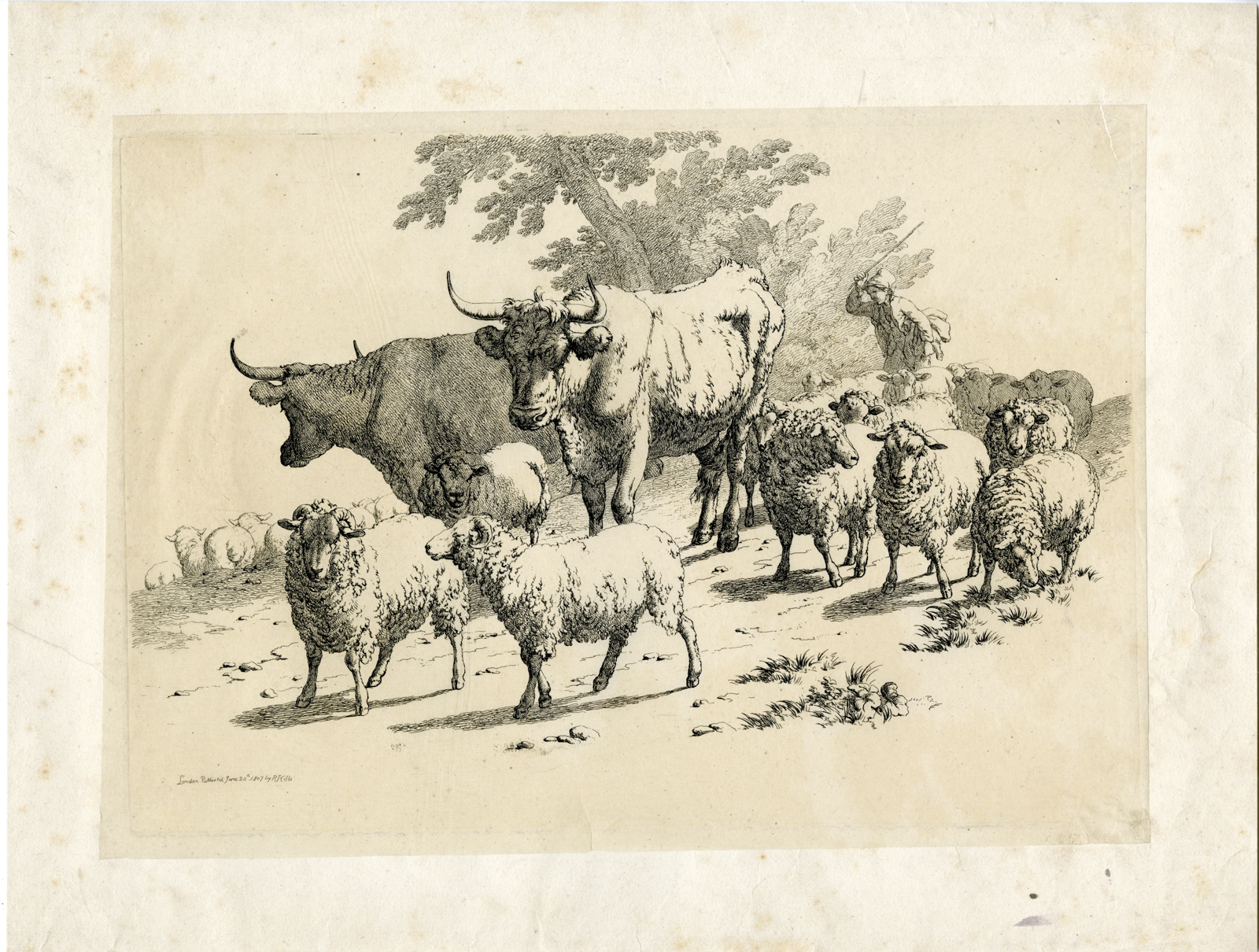 , Antique Master Print-SHEEP-CATTLE-HERDER-PATH-Hills-1807, Pictura Antique Prints
