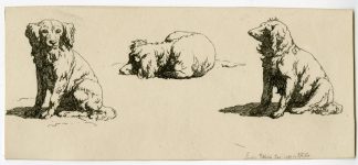 Antique Master Print-DOG-STUDIES-SPANIELS-Hills-1811