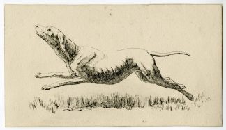 Antique Master Print-DOG-STUDY-LEAPING-POINTER-Hills-1816