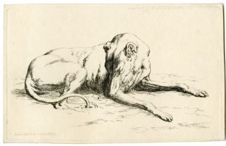 Antique Master Print-RECLINING-DOG-STUDY GREYHOUND-Hills-1809