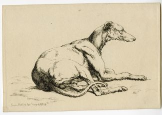 Antique Master Print-RECLINING-GREYHOUND-DOG-Hills-1809