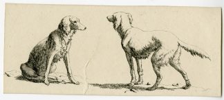 Antique Master Print-TWO-LONGHAIRED-DOG-STUDIES-Hills-1816